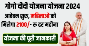 Gogo Didi Yojana Online Apply Form 2024